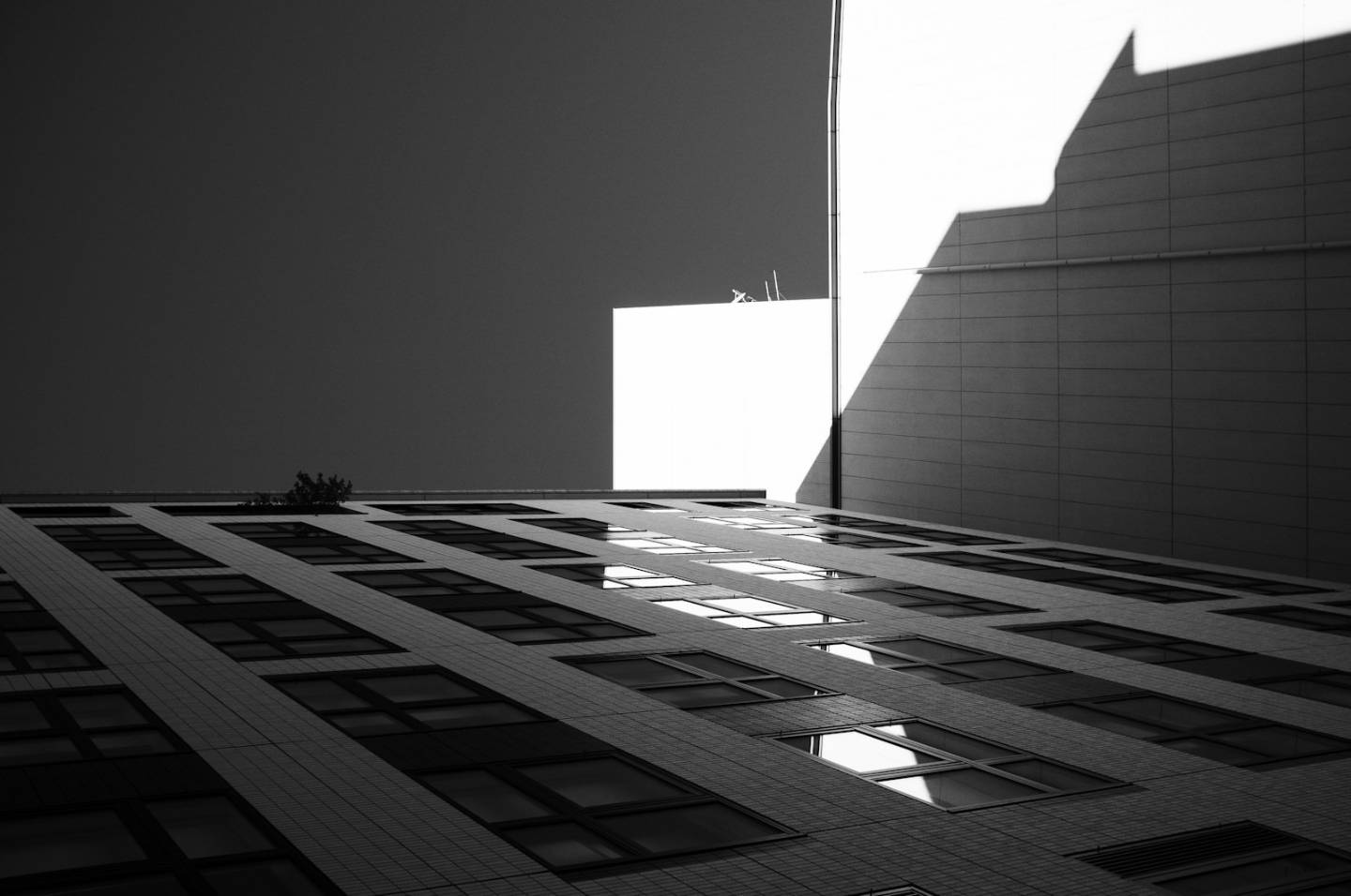 Dramatic black and white photograph looking straight up the textured facade of a tall commercial building, showcasing repetitive rectangular windows and strong angular shadows in the Mid-Market district of San Francisco. This stark, black and white architectural study captures the commanding scale of a contemporary commercial structure in the bustling Mid-Market area of San Francisco (37.767296, -122.419498). The composition utilizes geometric repetition, deep shadows, and bright highlights to emphasize the building's texture and height, providing an abstract and powerful view of the city's modern infrastructure.